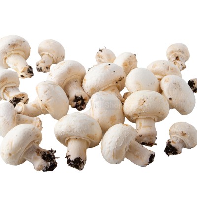 Шампиньоны свежие 500 г - купить в Арышхазде